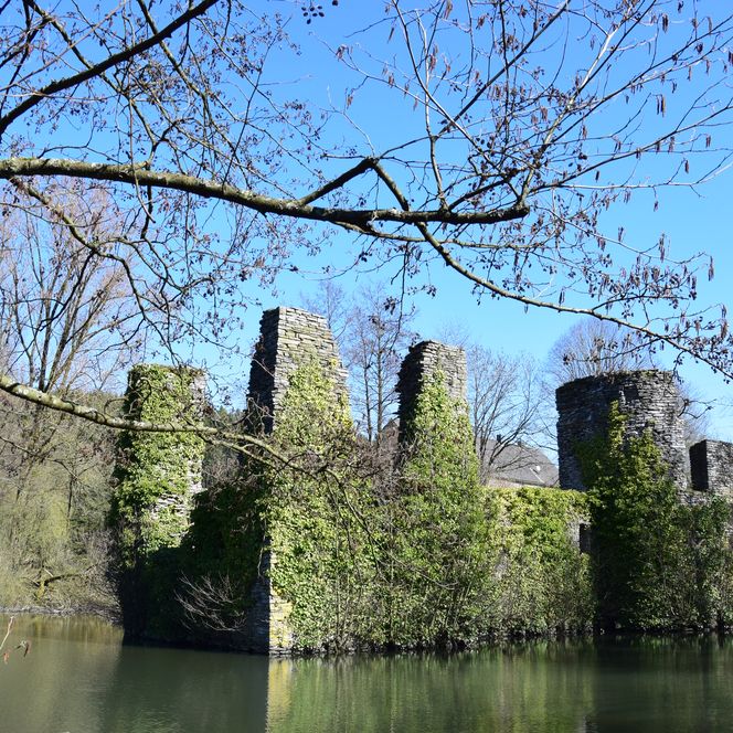 Ruinen von Burg Eibach in Lindlar, umgeben von Bäumen und einem Teich an einem klaren, sonnigen Tag.