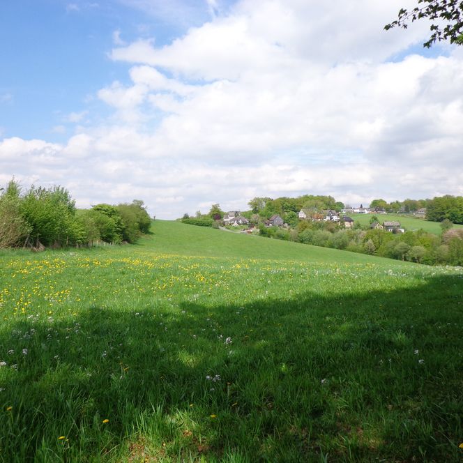 Grüne Wiese unter blauem Himmel mit Blumen, im Hintergrund ein kleines Dorf und sanfte Hügel.