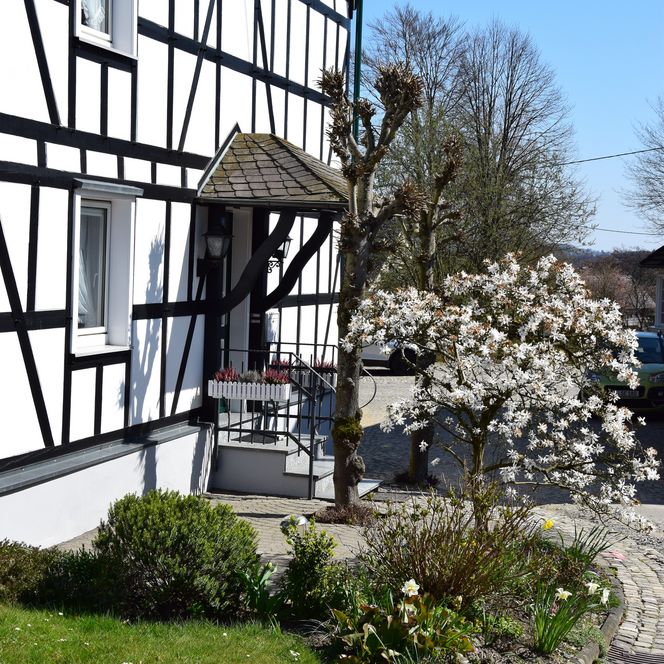<p>Fachwerkhaus mit blühendem Baum, Eingangsbereich, gepflasterter Weg und blauer Himmel. Nümbrecht.</p>
