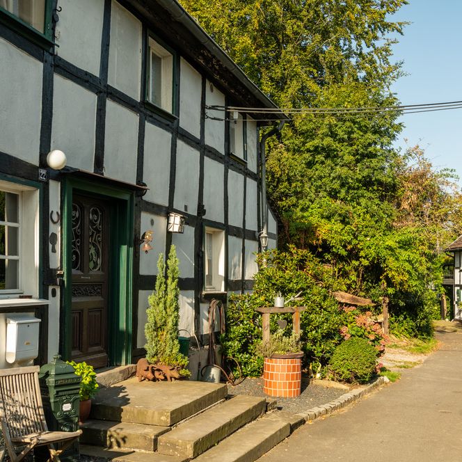 Fachwerkhaus in sonniger Umgebung mit grünen Pflanzen vor der Haustür, idyllischer Charme.