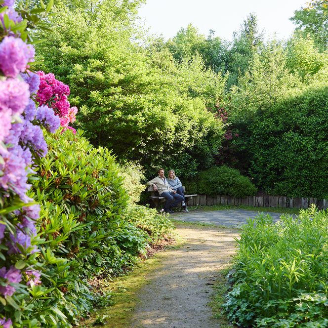Zwei Menschen sitzen auf einer Bank in einem blühenden, grünen Gartenweg im Park bei Sonnenschein.
