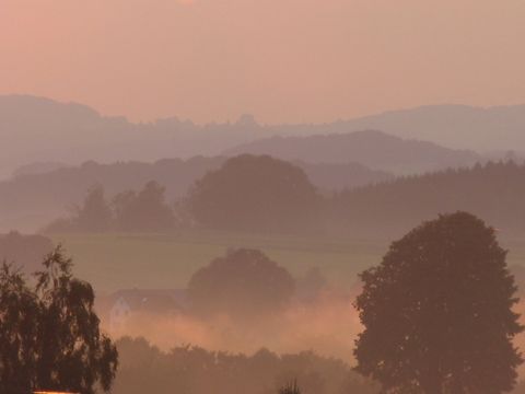 Blick auf einige Bäume mit Sonnenaufgang in verschiedenen Rot-Tönen