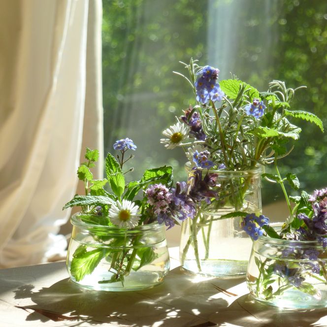 Drei Glasvasen mit Wiesenblumen und grünen Blättern in Sonnenlicht auf einem Holztisch vor Vorhang.