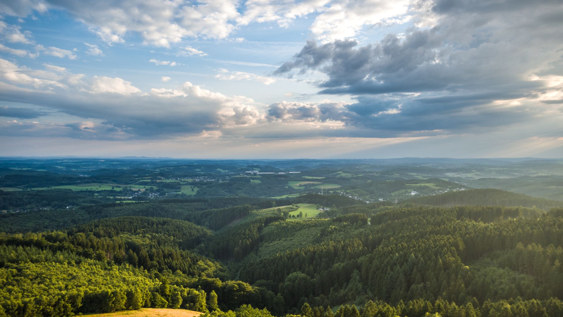 Luftaufnahme über Hügel und Wälder mit vielen dunklen Wolken am Himmel