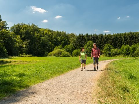 Ein Paar wandert über den Eifgenbachweg, links und rechts vom Weg saftig grünes Gras, im Hintergrund ein Wald und blauer Himmel.