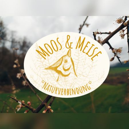 Detailansicht des Logos von Moos & Meise. Im Hintergrund ist ein Ast mit Blüten zu sehen.