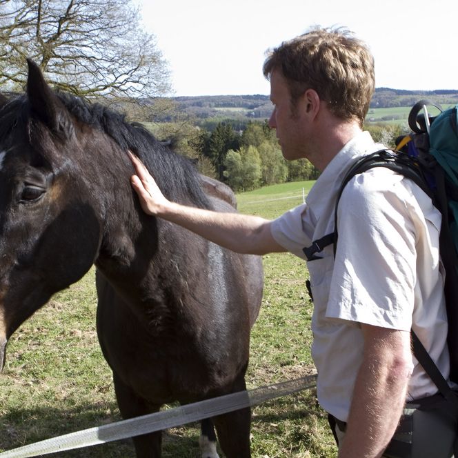 Ein Wanderer mit Rucksack streichelt ein braunes Pferd auf einer Weide, umgeben von grüner Landschaft.