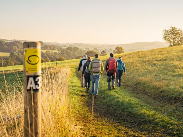 Eine Wandergruppe wandert durch eine herbstliche Landschaft auf dem Bergischen Panoramasteig.
