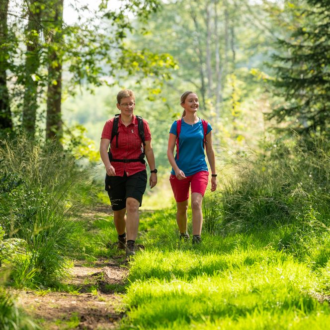 Zwei Frauen wandern fröhlich auf einem sonnigen, grasbewachsenen Waldweg, umgeben von Bäumen.
