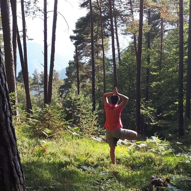 Eine Frau macht eine Yogaübung im Wald.