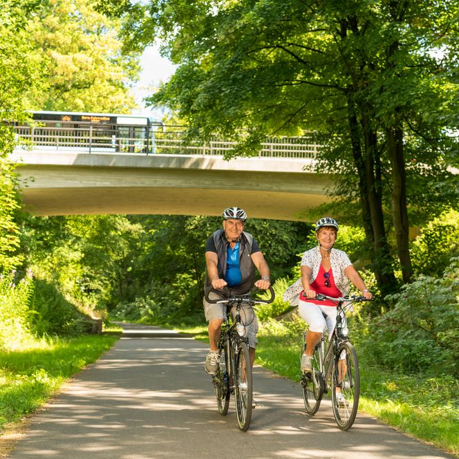 Radfahrer auf sonnigem Weg unter Brücke, umgeben von üppigem Grün in Wermelskirchen.