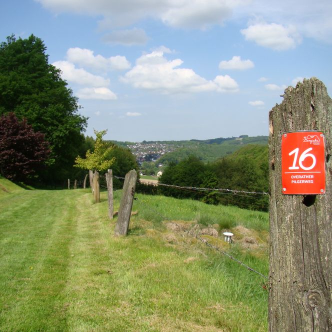 <p>Pfad durch grüne Wiese mit Holzpfosten und Wegmarkierung, im Hintergrund hügelige Landschaft.</p>