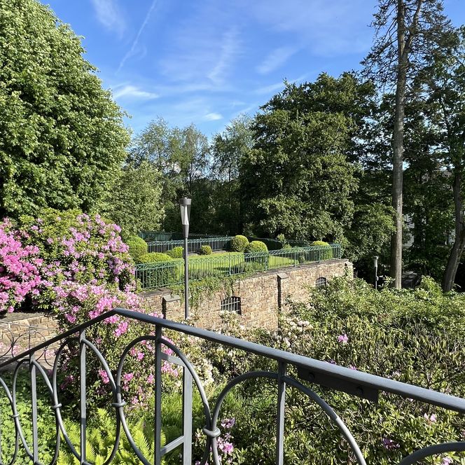 Ein farbenfroher Garten mit blühenden Büschen und einem eleganten schmiedeeisernen Geländer im Vordergrund.