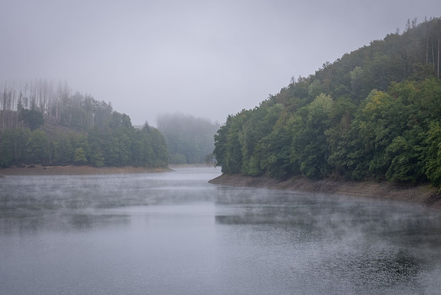 Nebliger See in natürlichem Tal, umgeben von dichtem Wald und sanften Hügeln, friedliche Atmosphäre.