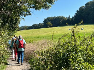 Wandergruppe mit Rucksäcken auf einem schmalen Weg entlang einer sonnigen Wiese