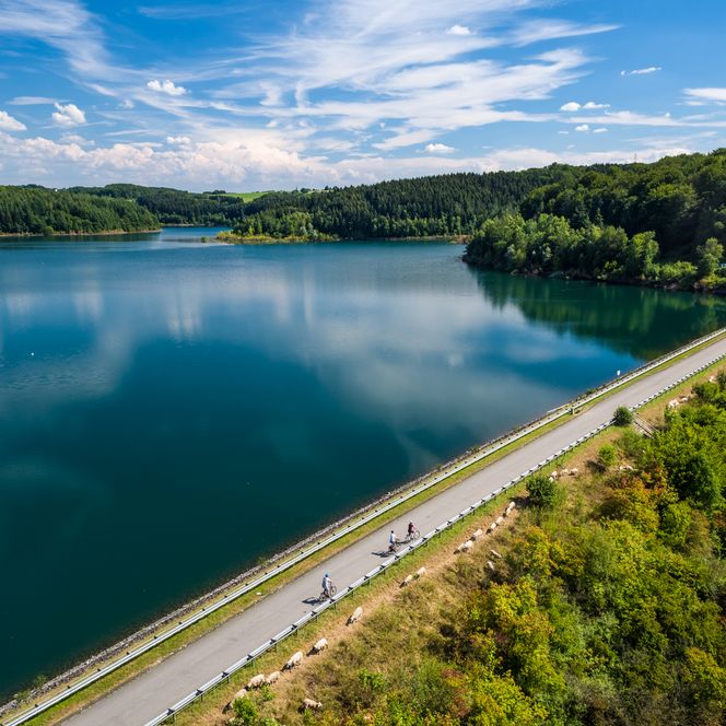 <p>Radfahrer auf einer malerischen Straße am Ufer eines klaren Sees umgeben von Wäldern unter blauem Himmel.</p>