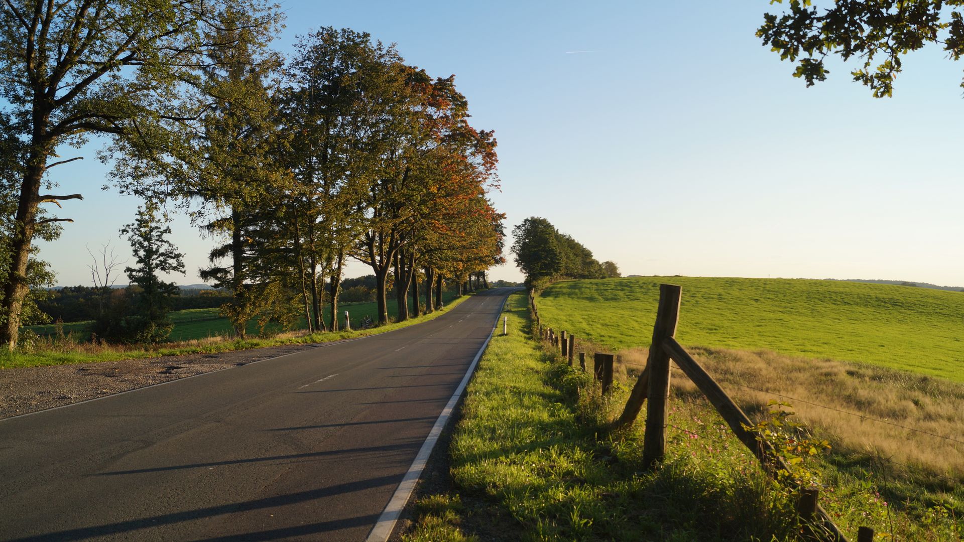 Auf der linken Seite verläuft eine gerade Straße mit einer Baumreihe auf der linken Seite. Rechts steht ein Holzzaun und daran schließt sich eine Wiese an.e