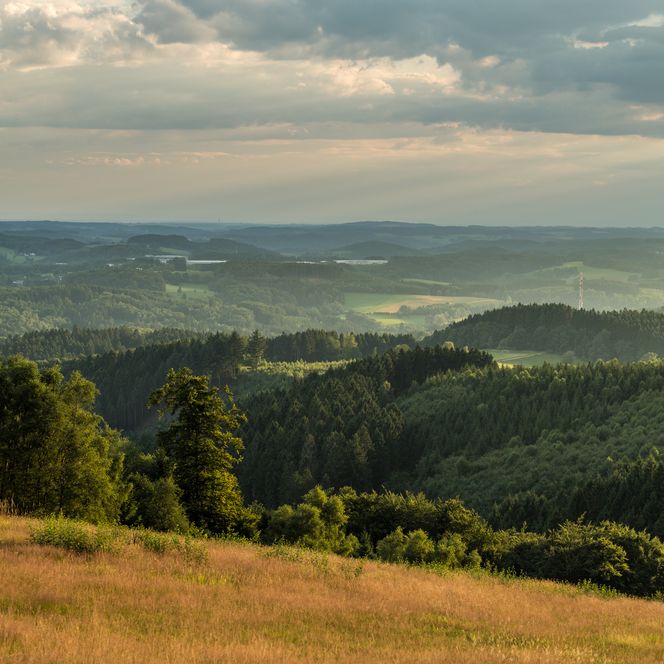 Weitläufige Landschaft mit sanften Hügeln, Wäldern und Wiesen unter einem bewölkten Himmel bei Sonnenuntergang.