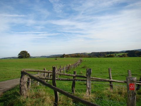 grüne Wiese, blauer Himmel, im Vordergrund ein Weidezaun aus Holz mit Markierungszeichen