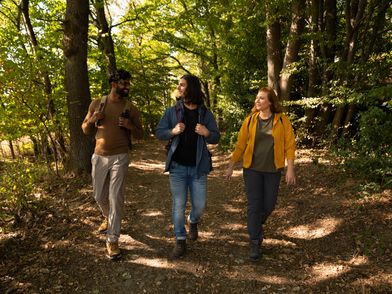 Drei Wandernde gehen mit Rucksäcken auf einem sonnigen Waldweg.
