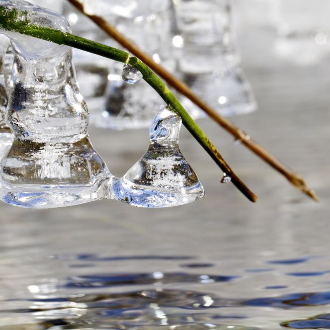 Eiszapfen hängen von einem Zweig über einer ruhigen Wasseroberfläche, spiegeln das Sonnenlicht wider.
