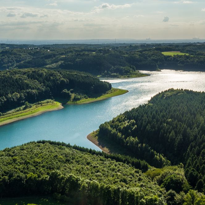 Ein malerischer See windet sich durch bewaldete Hügel in Kürtens sanft hügeliger Landschaft.