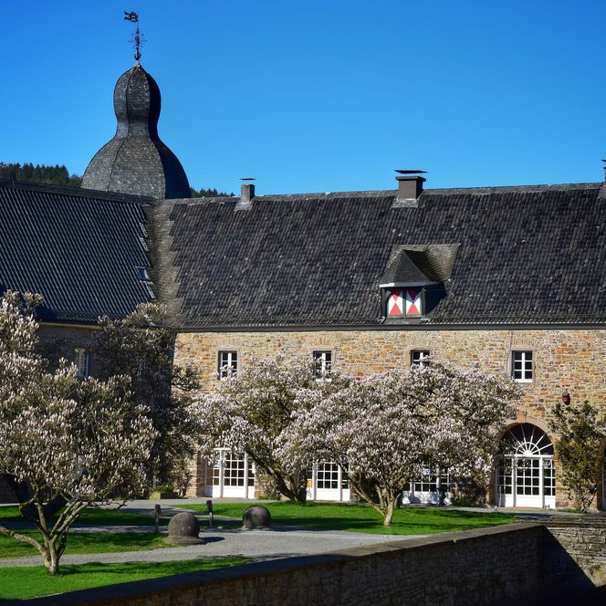 <p>Historische Gebäude mit blühenden Bäumen, blauer Himmel im Hintergrund.</p>
