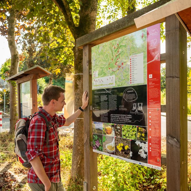 <p>Ein Wanderer betrachtet eine Informationstafel an einem Waldweg in Neunkirchen-Seelscheid.</p>