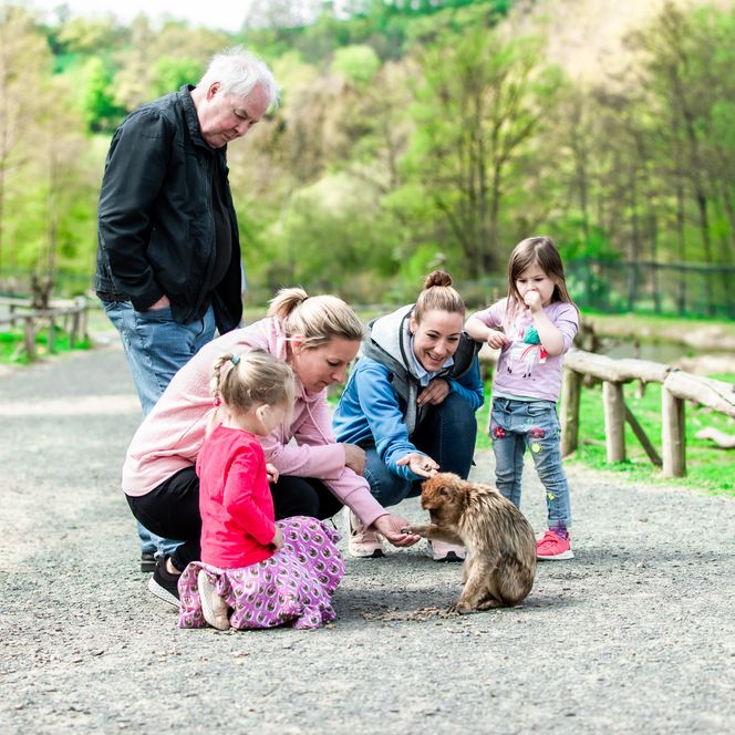 <p>Familie füttert zutrauliche Zwergziege auf einem Spazierweg, umgeben von frühlingshaftem Wald.</p>