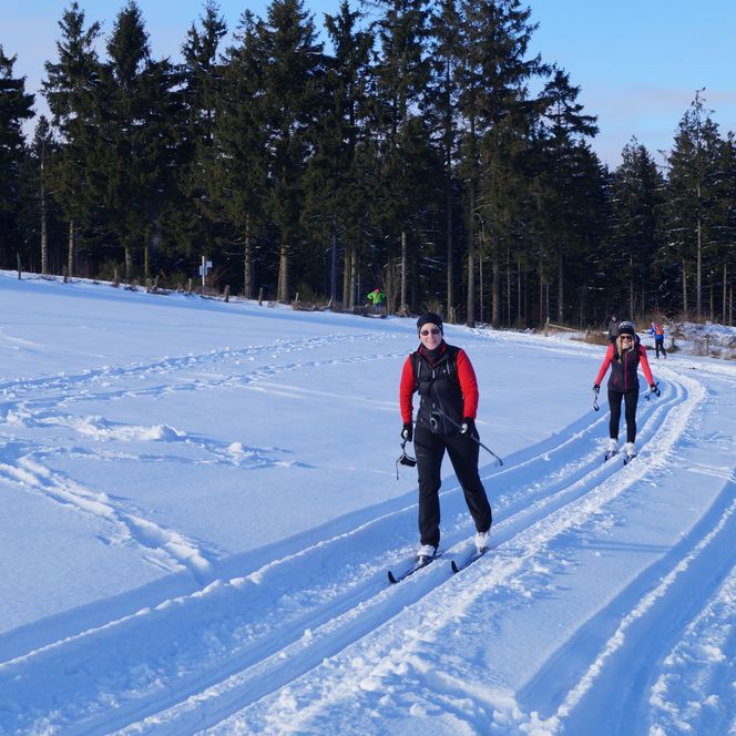 Langläufer in roter Kleidung gleiten auf verschneiter Spur durch winterlichen Wald in Reichshof.