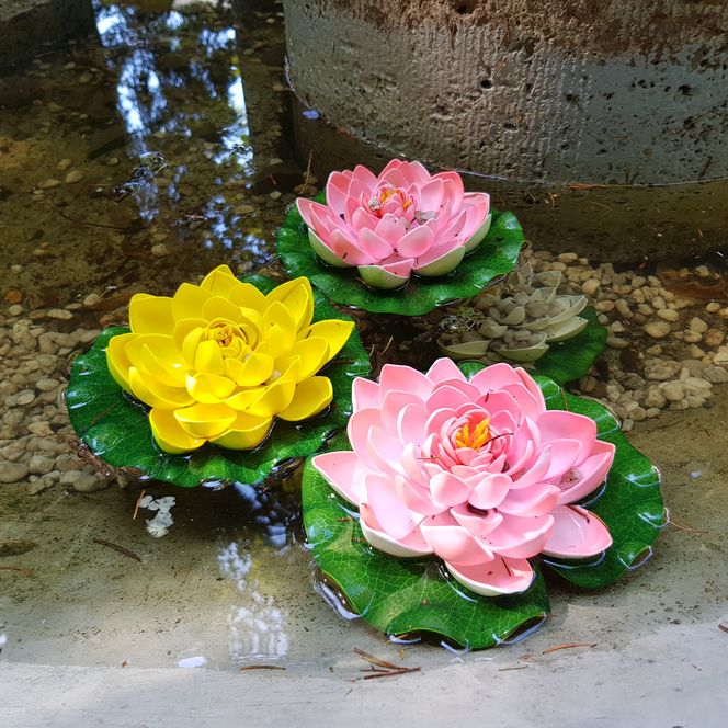 Drei bunte Seerosen aus Kunststoff schwimmen auf klarem Wasser in einem dekorativen Brunnen.