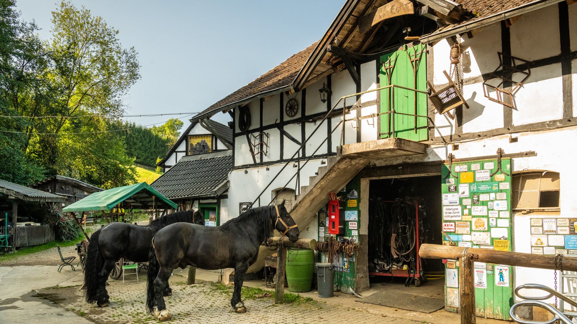 Vor einem großen Fachwerkschuppen mit grüner Scheunentür stehen zwei schwarze Pferde angeleihnt.
