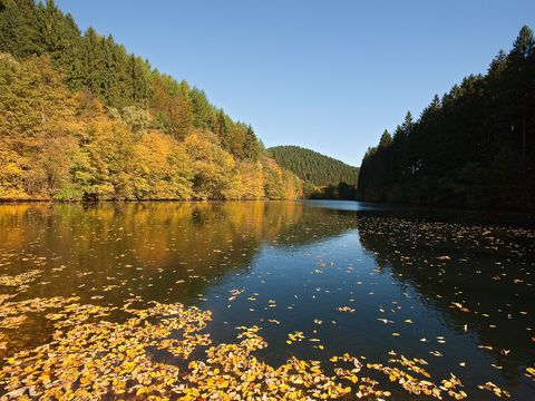 Herbstliches Bild der Aggertalsperre