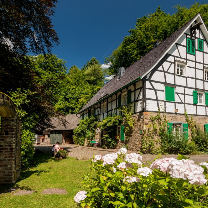 Fachwerkhaus im Grünen mit blühenden Hortensien und blauen Holzläden unter klarem Himmel.