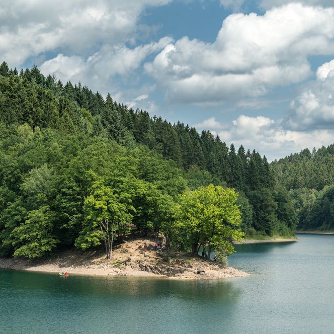Wald und See mit bewaldeter Halbinsel unter blauem Himmel mit weißen Wolken.