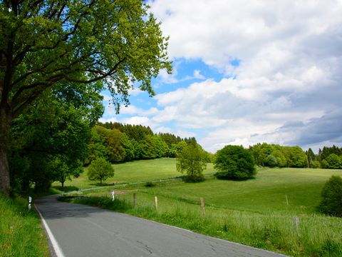 Eine schmale gerade Straße führt über eine Wiese und verschwindet hinter Bäumen