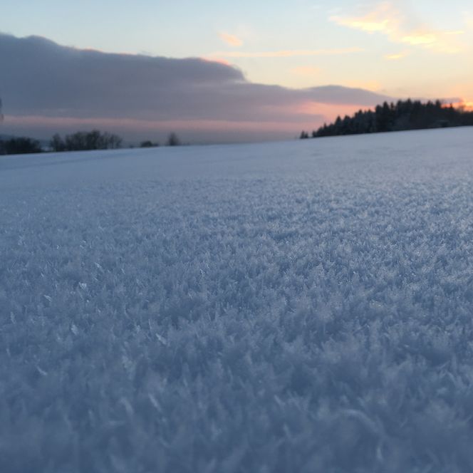 Ein verschneites Feld bei Sonnenuntergang, mit Bäumen im Hintergrund und rosa Wolken am Horizont.