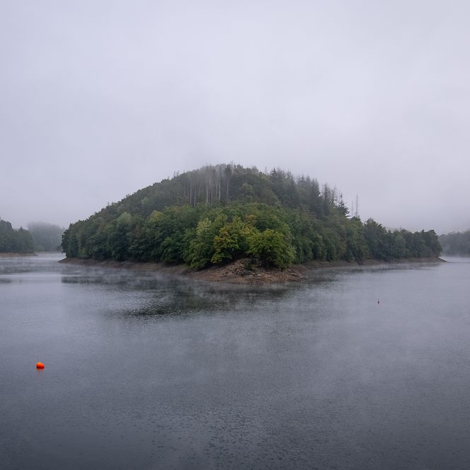 <p>Nebelverhangener See mit bewaldeter Insel und ruhiger Wasseroberfläche, im Hintergrund dichter Wald.</p>