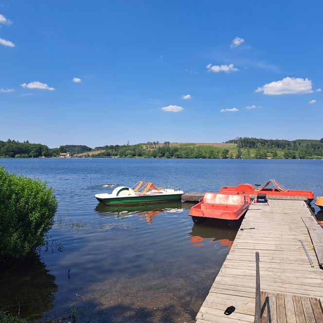 Ein Holzsteg mit Tretbooten an einem ruhigen See, umgeben von Wald unter blauem Himmel.