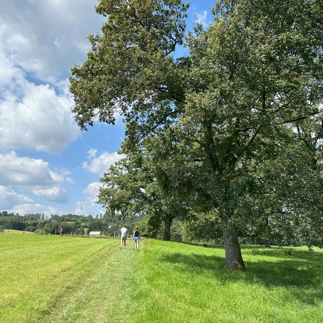 Malerische Wiesenlandschaft in Wiehl mit blauen Himmel, Bäumen und Spaziergängern auf einem Pfad.
